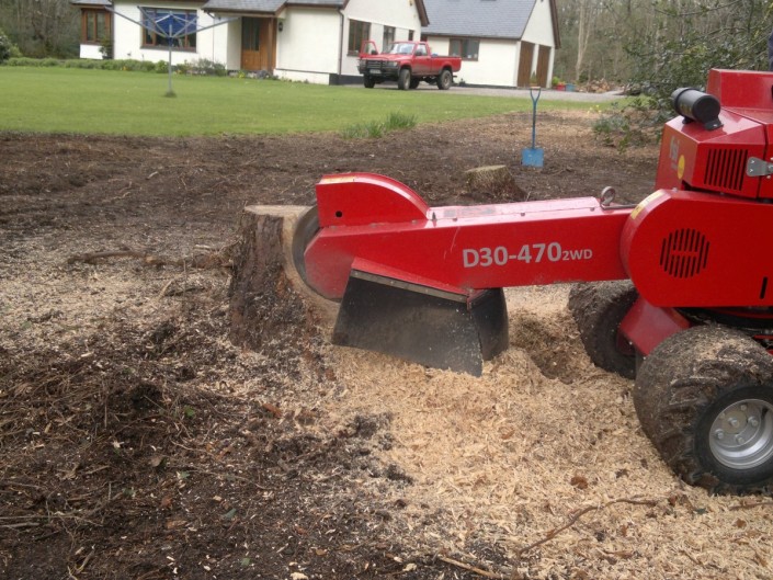 Stump grinding