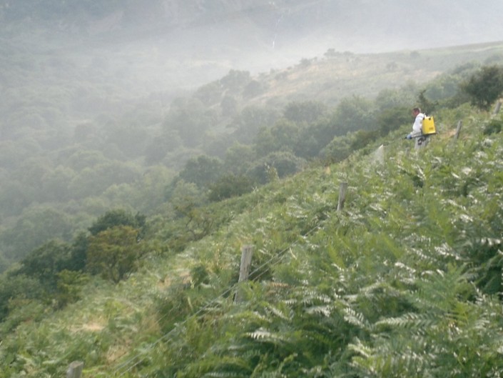 Invasive species control