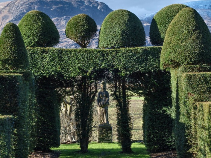 Topiary / hedgecutting